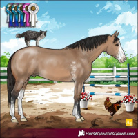 Horse Color:Bay Dun Sabino 