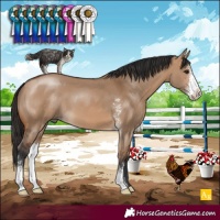 Horse Color:Bay Dun Sabino