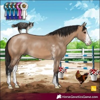 Horse Color:Bay Dun Sabino 