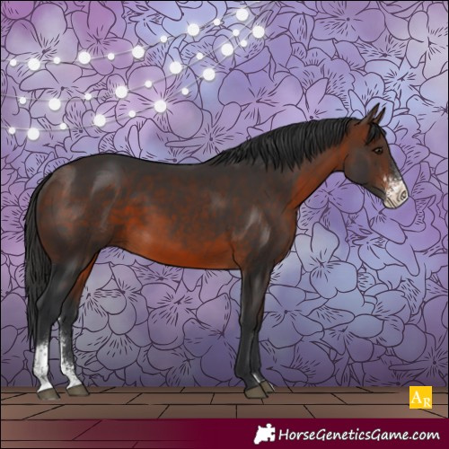 Horse Color:Brown Sabino 