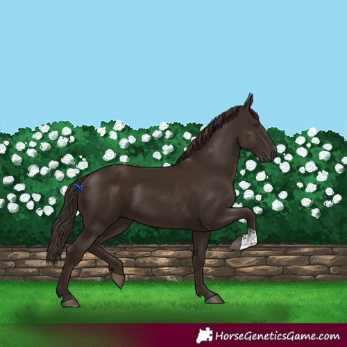 Horse Color:Liver Chestnut  and Liver Chestnut 