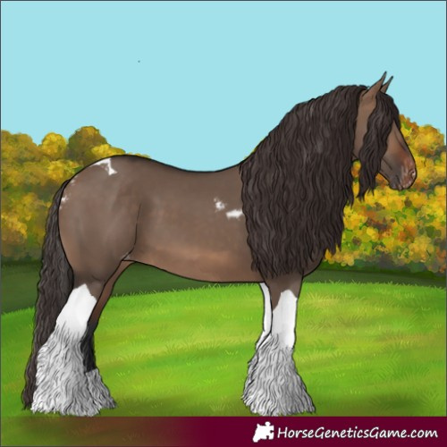 Horse Color:Brown Dun Tobiano Skewed LP Spotted