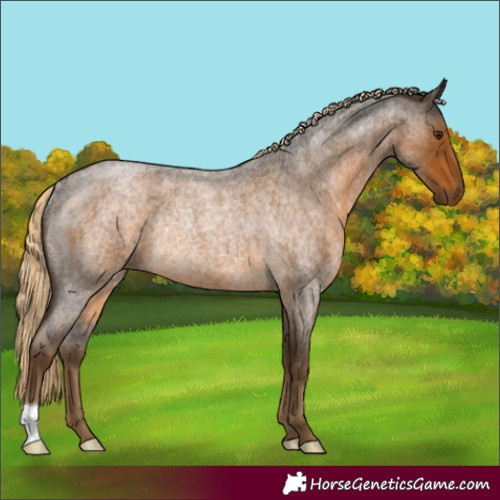 Horse Color:Chocolate Palomino Roan Rabicano 