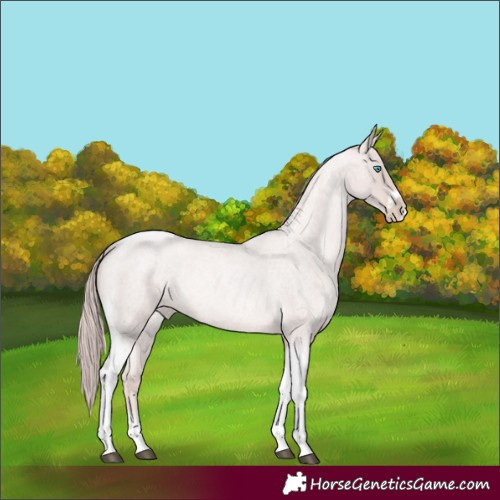 Horse Color:Platinum Red Roan Pearl Tobiano Frame
