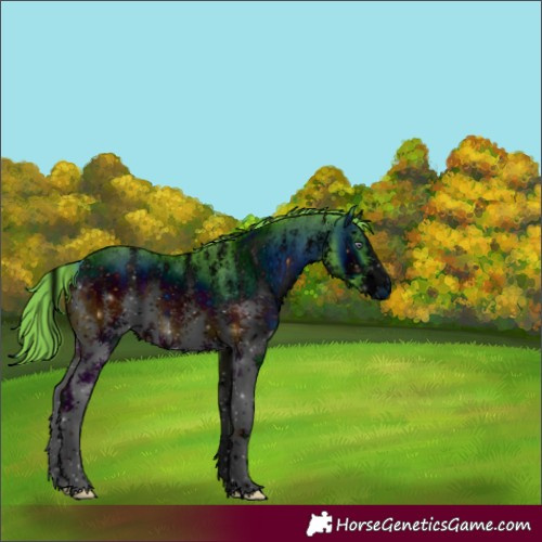 Horse Color:ERROR: UNKNOWN ANOMALY