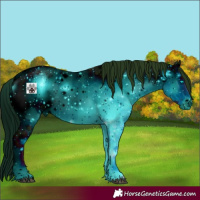 Horse Color:ERROR: UNKNOWN ANOMALY