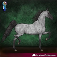 Horse Color:Smoky Blue Roan 