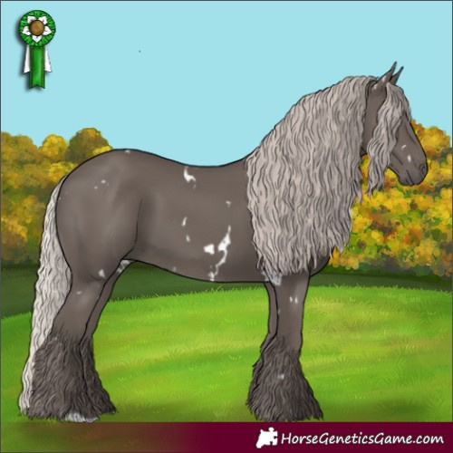 Horse Color:White Spotted Silver Black 
