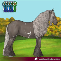 Horse Color:White Spotted Silver Black 