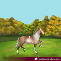 Horse Color:Gray Silver Buckskin Tobiano