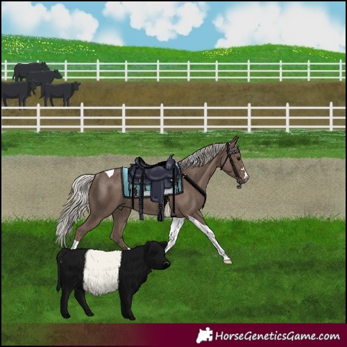 Horse Color:Silver Black Tobiano Rabicano