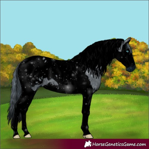 Horse Color:ERROR: UNKNOWN ANOMALY