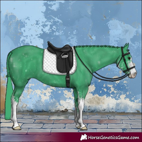 Horse Color:Watercolor Black Sabino