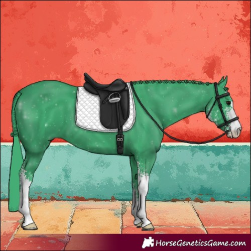 Horse Color:Watercolor Black Sabino 