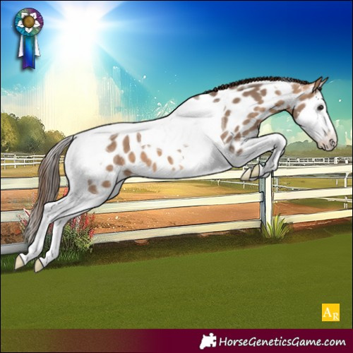 Horse Color:Bay Dun Splash Tobiano Near Leopard 