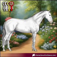Horse Color:Brown Sabino Appaloosa Rabicano 