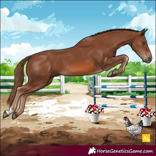 Horse Color:Chestnut 