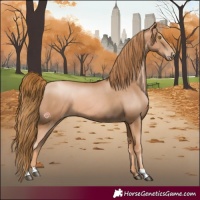 Horse Color:Chestnut Pearl