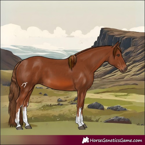 Horse Color:White Spotted Chestnut 
