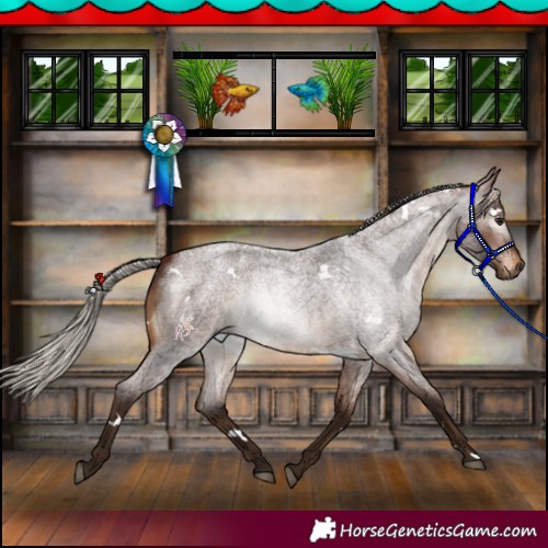Horse Color:Gray White Spotted Silver Bay Roan Varnish 