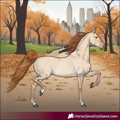 Horse Color:Red Dun Roan Rabicano 