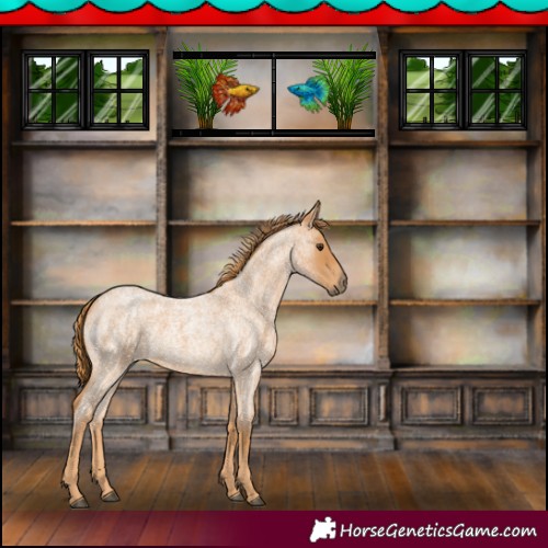 Horse Color:Red Roan 