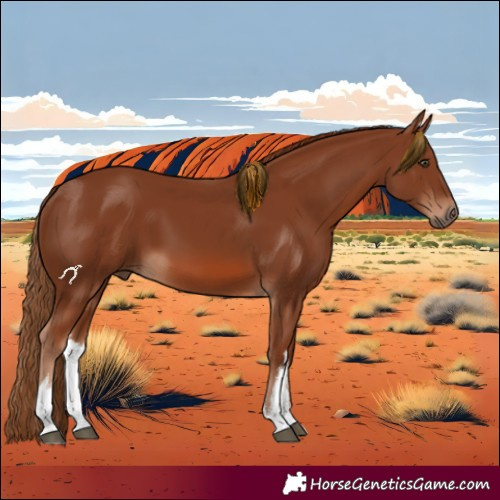 Horse Color:White Spotted Chestnut