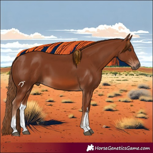 Horse Color:White Spotted Chestnut 