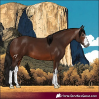 Horse Color:Gray White Spotted Bay