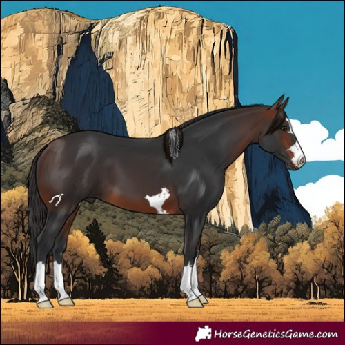 Horse Color:Brown 