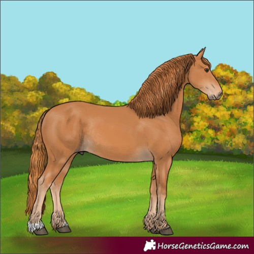 Horse Color:Chestnut Rabicano 