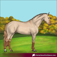 Horse Color:Red Dun 