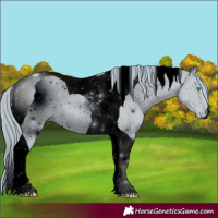 Horse Color:ERROR: UNKNOWN ANOMALY