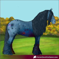 Horse Color:ERROR: UNKNOWN ANOMALY