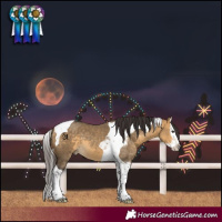 Horse Color:Buckskin Dun Splash Tobiano 