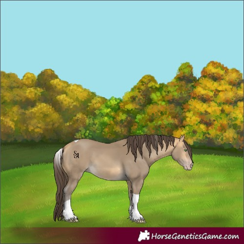 Horse Color:Sable Cream Champagne Tobiano 