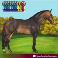 Horse Color:Buckskin 