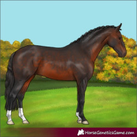 Horse Color:Brown 