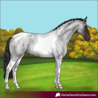 Horse Color:Brown Roan Tobiano 