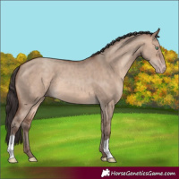 Horse Color:Sable Champagne Dun 