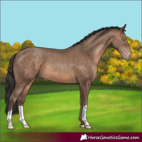 Horse Color:Sable Champagne