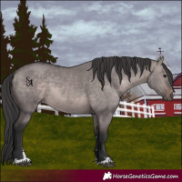 Horse Color:Platinum Brown Dun 