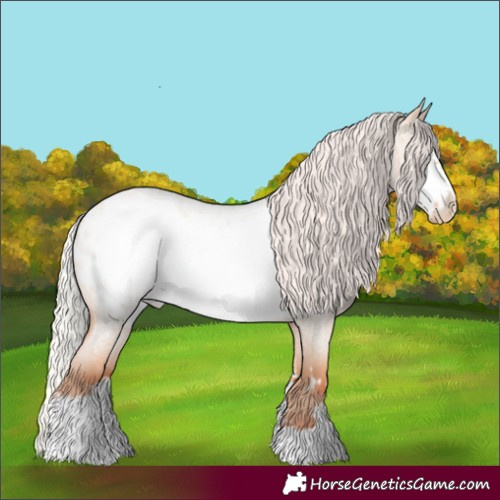 Horse Color:Silver Classic Champagne Roan Dun Frame Blanket Rabicano