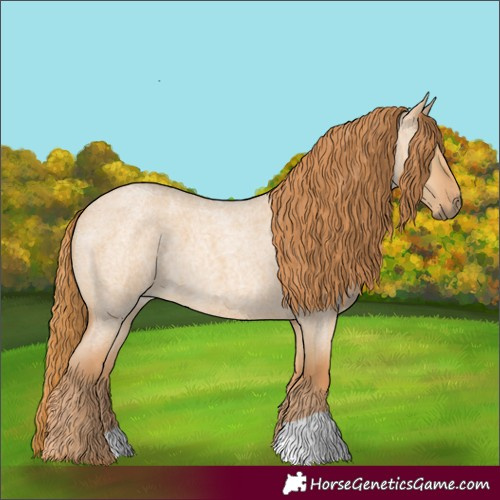 Horse Color:Red Dun Roan 
