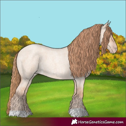 Horse Color:Gold Champagne Roan Dun