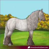 Horse Color:Silver Grullo Roan 