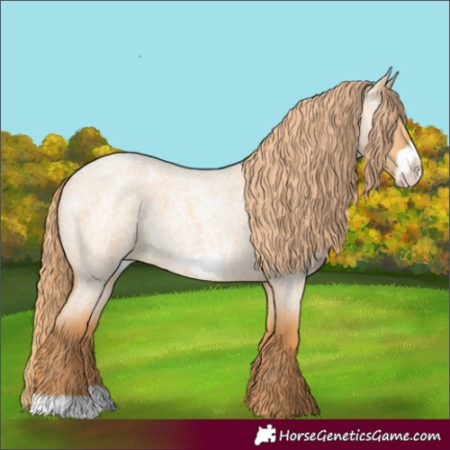Horse Color:Red Dun Roan Frame