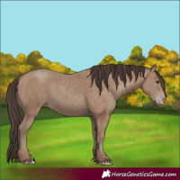 Horse Color:Classic Champagne