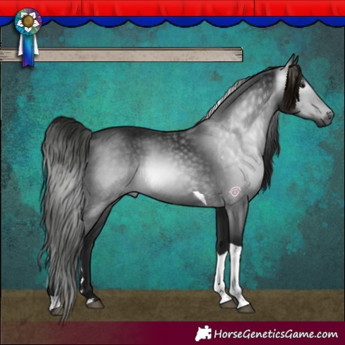 Horse Color:Gray Smoky Black Tobiano 
