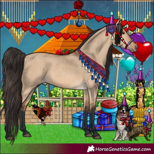 Horse Color:Bay Dun 